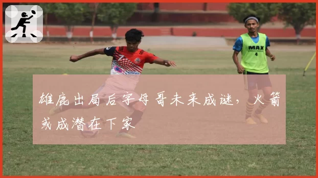 雄鹿出局后字母哥未来成谜，火箭或成潜在下家